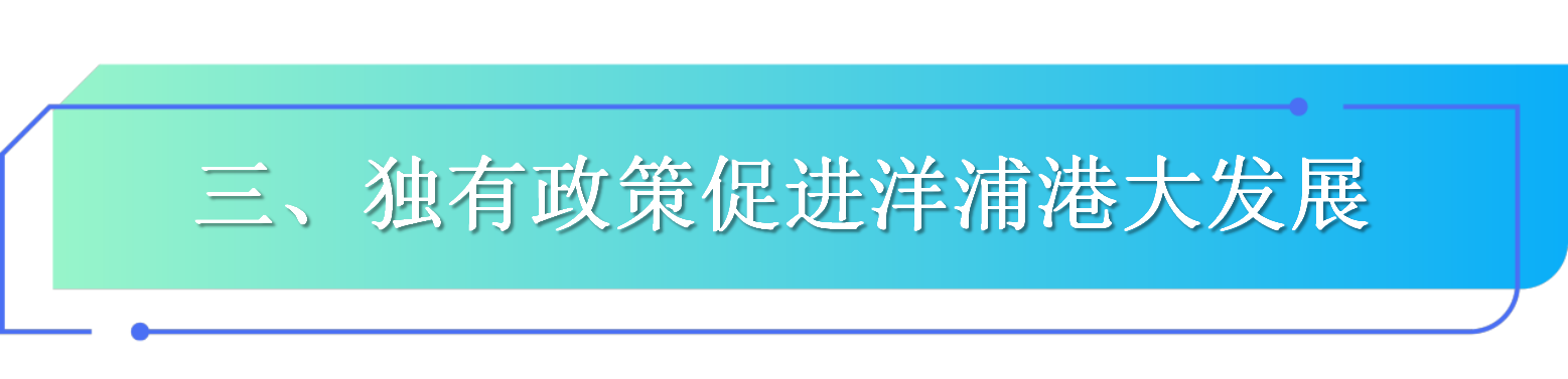 三、独有政策促进洋浦港大发展.png