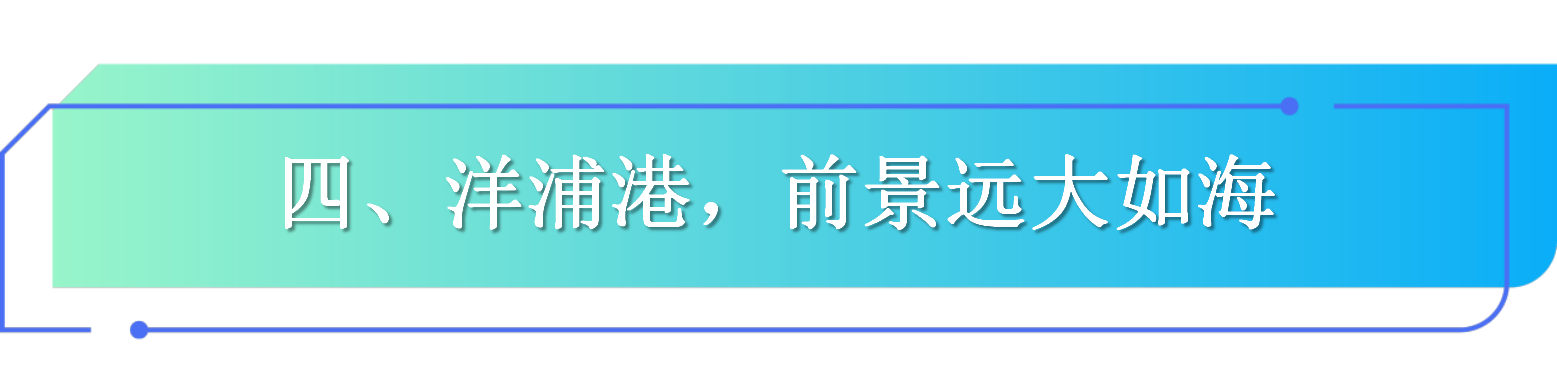 四、洋浦港，前景远大如海.png